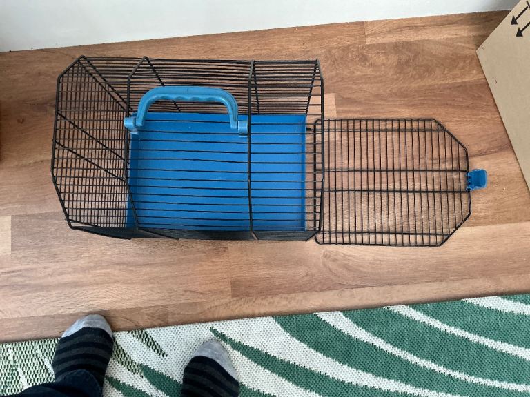 Cat carrier. And beds