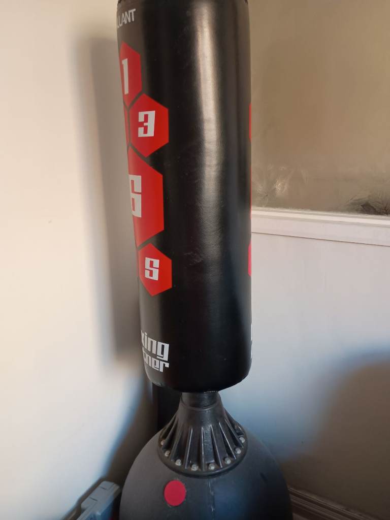 Freestanding boxing bag and gloves