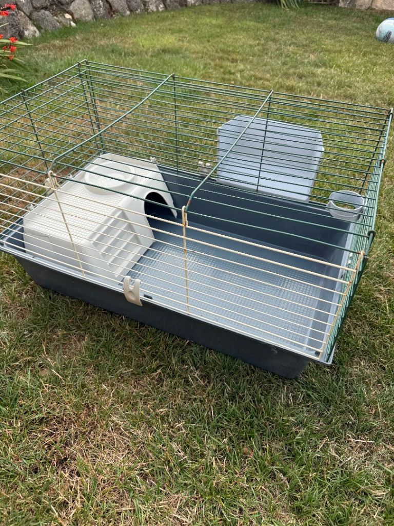 Guinea pig cage