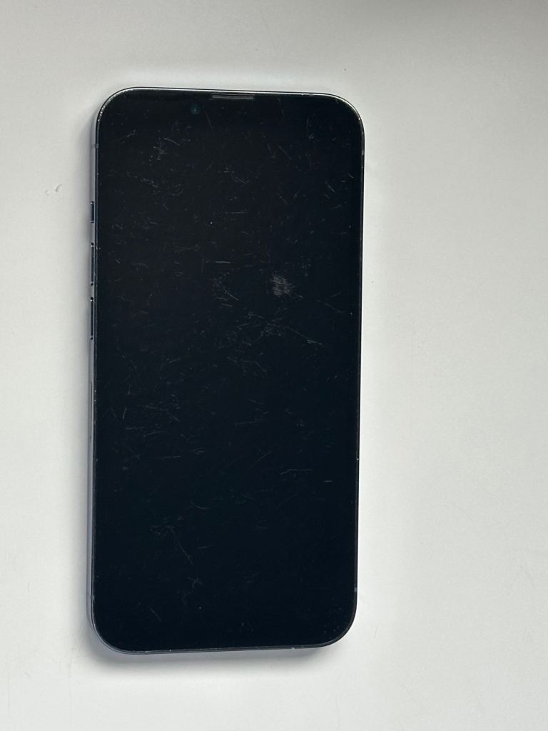 iPhone 13 Pro -100% Battery