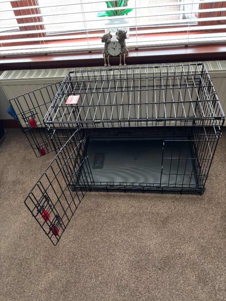 Kong Dog Crate