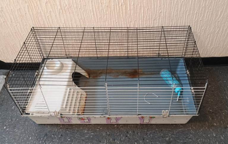 Indoor Guinea Pig Cage & 1L Classic Blue Zig Zag Bottle W/ Holder