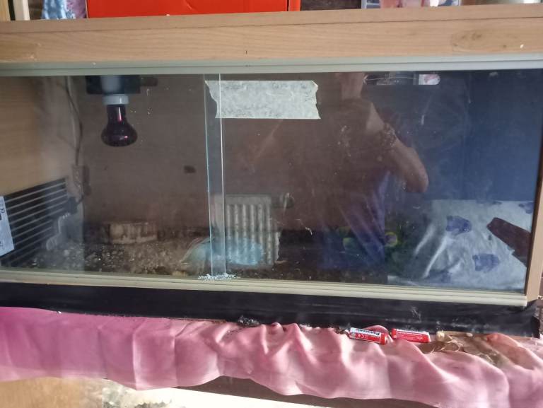 Reptile tank 