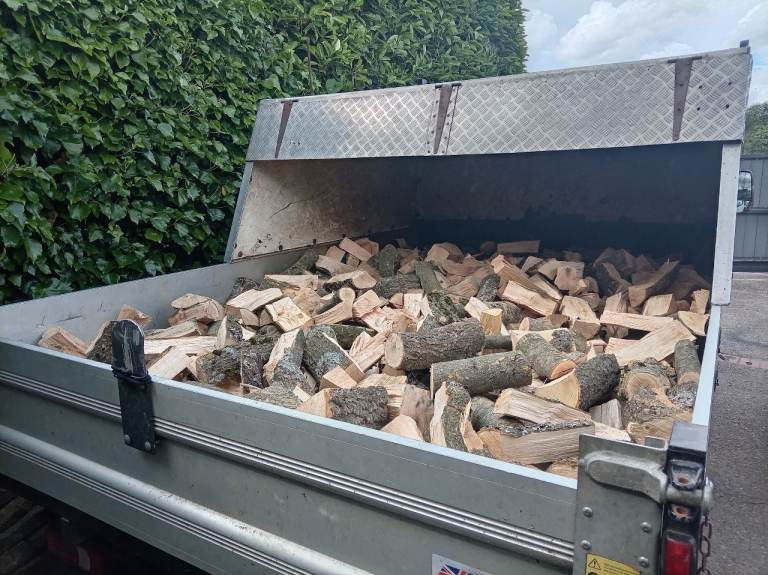 fresh cut ash logs delivered