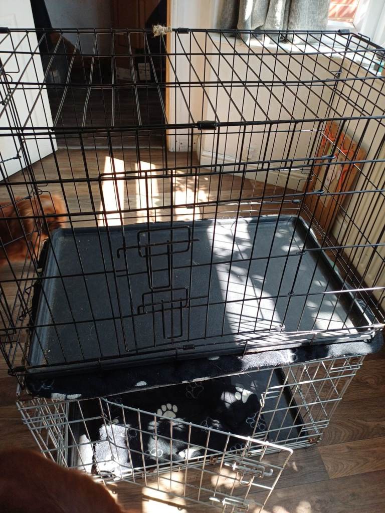 2 dog crates available 