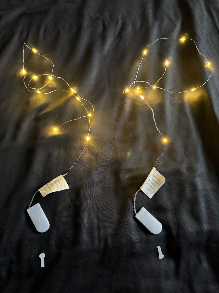 image for 2 x small Led wire light - battery powered  