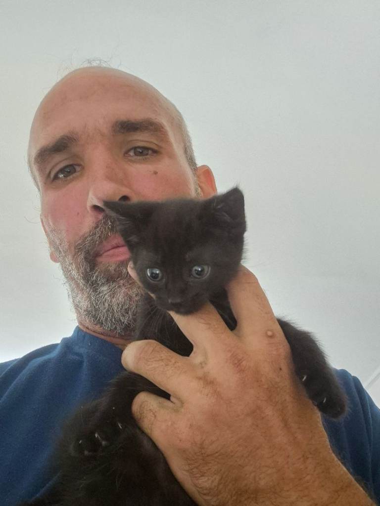 Kittens 