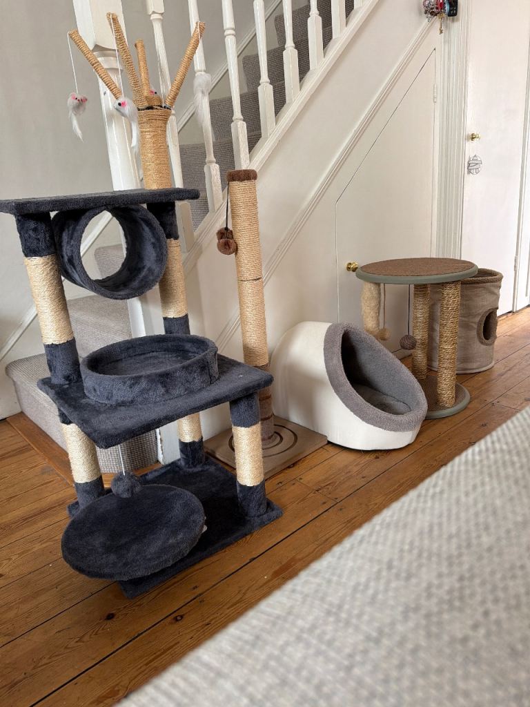 Cat tree, beds& scratch post job lot