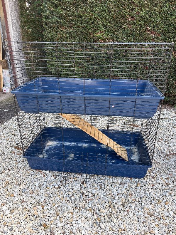 Rabbit hutch and fencing