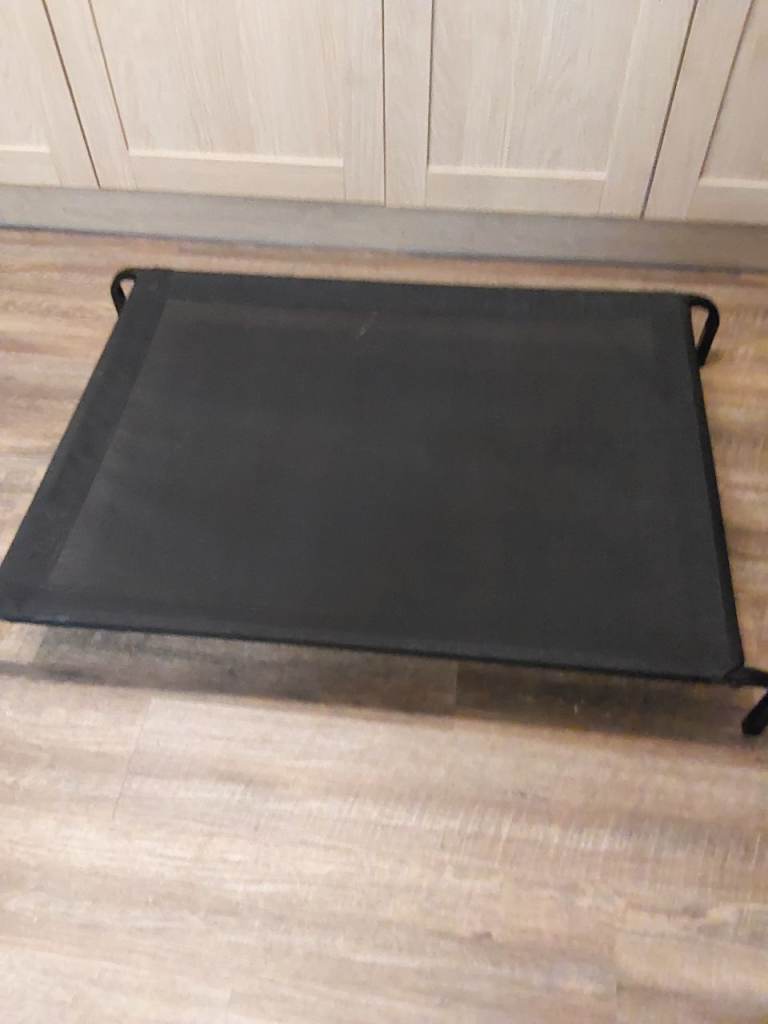 XL raised pet bed