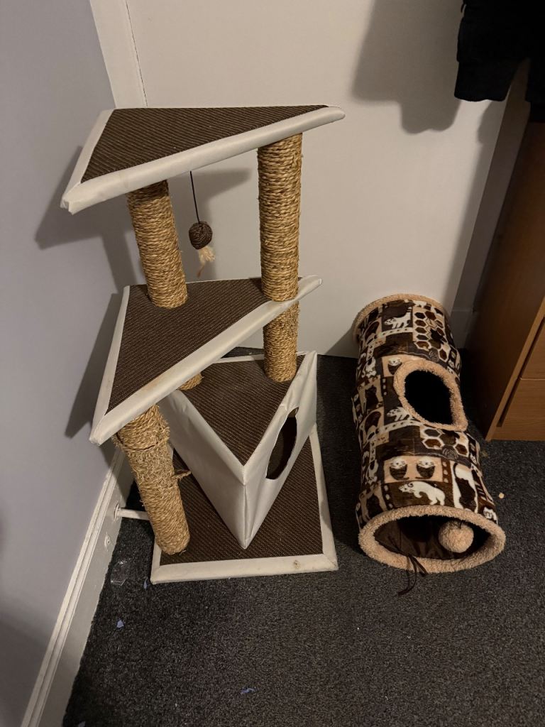 Cat toys, bedding etc 