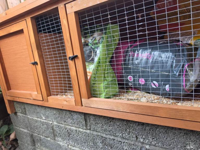 Rabbit cage