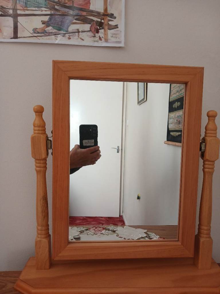SOLID WOOD FRAMED SWIVEL MIRROR