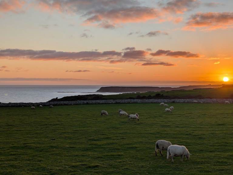 Static Caravan in Oxwich Bay with Sea Views