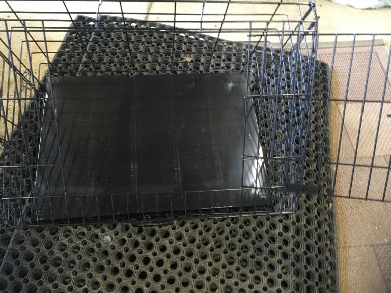 Dog crate and large dog bed