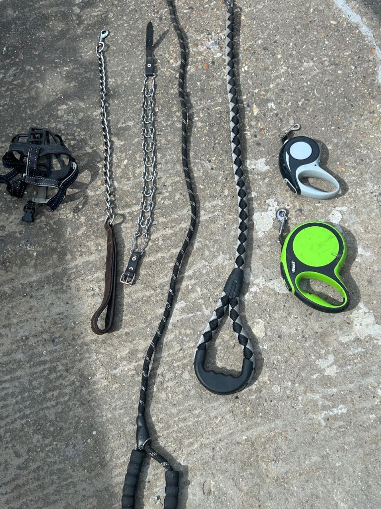 Dog Accessories: Leashes, Extended Leashes, and Muzzle for Sale