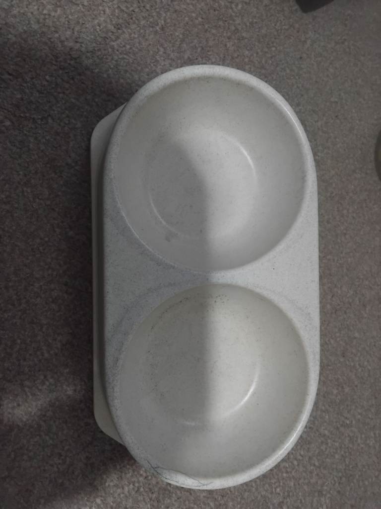 Dog bowl/cat bowl 
