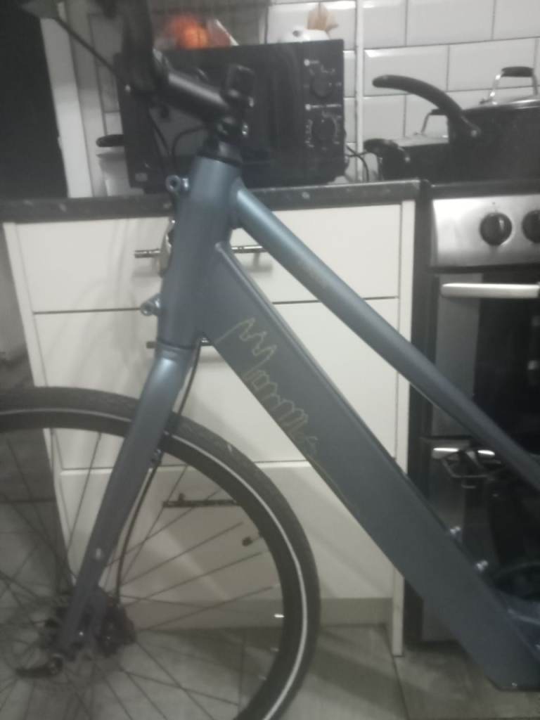 Pedal assist metroneer EU 700
