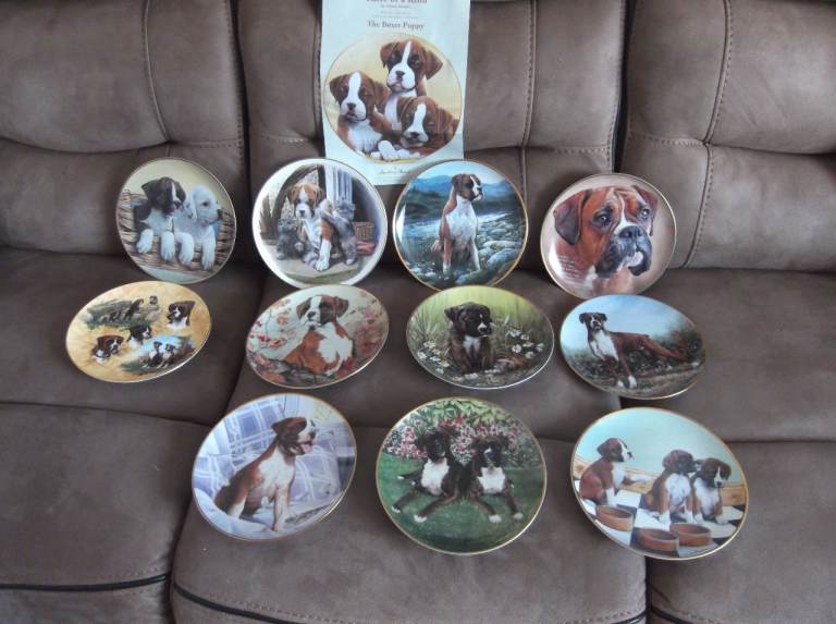 Porcelain Boxer dog plates