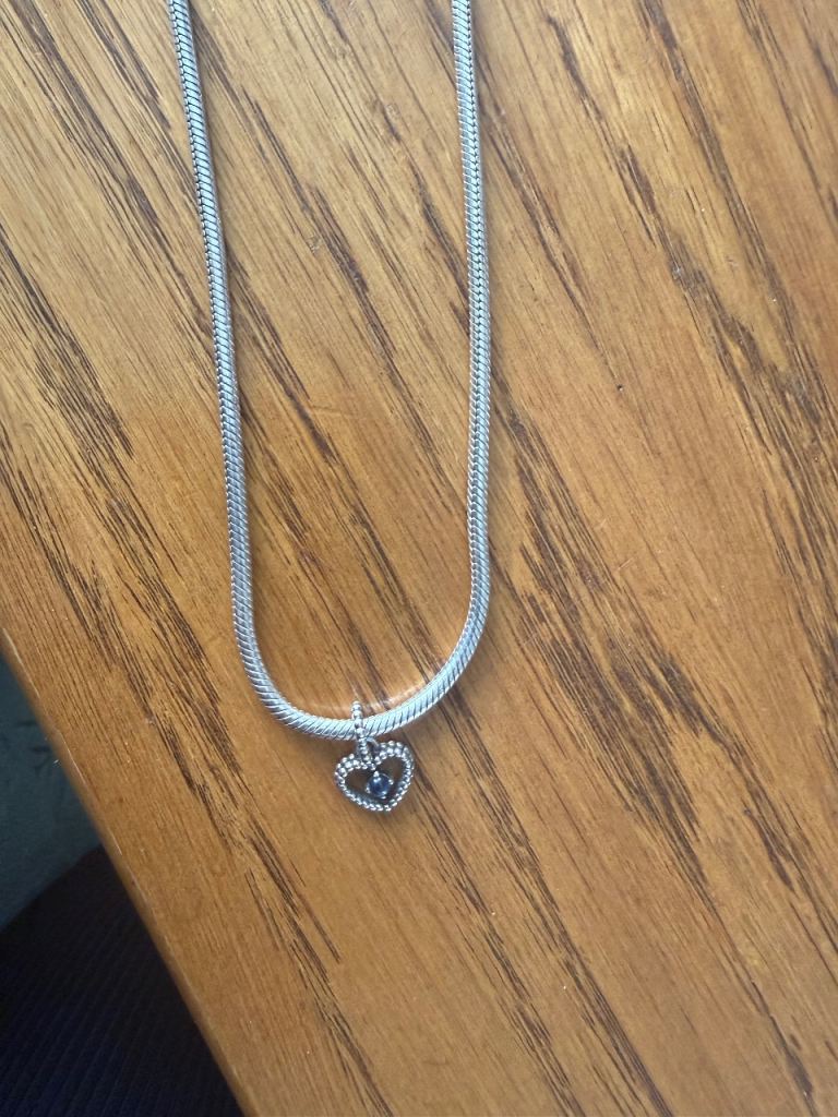 Pandora Silver Snake Chain Necklace