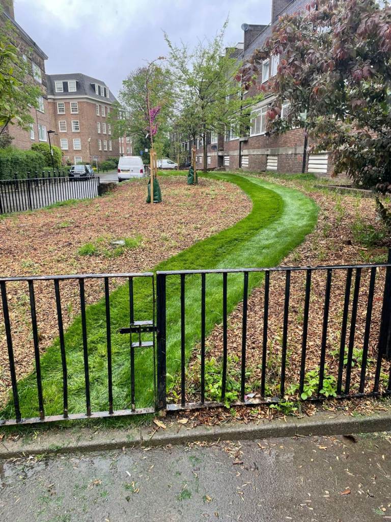 Landscaping 11 years experince 