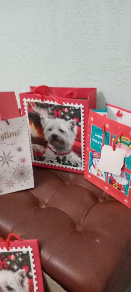 Xmas gifts