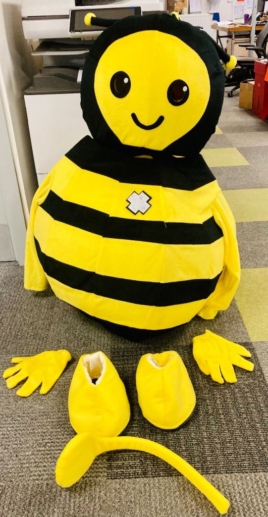 Adult Bee Costume 