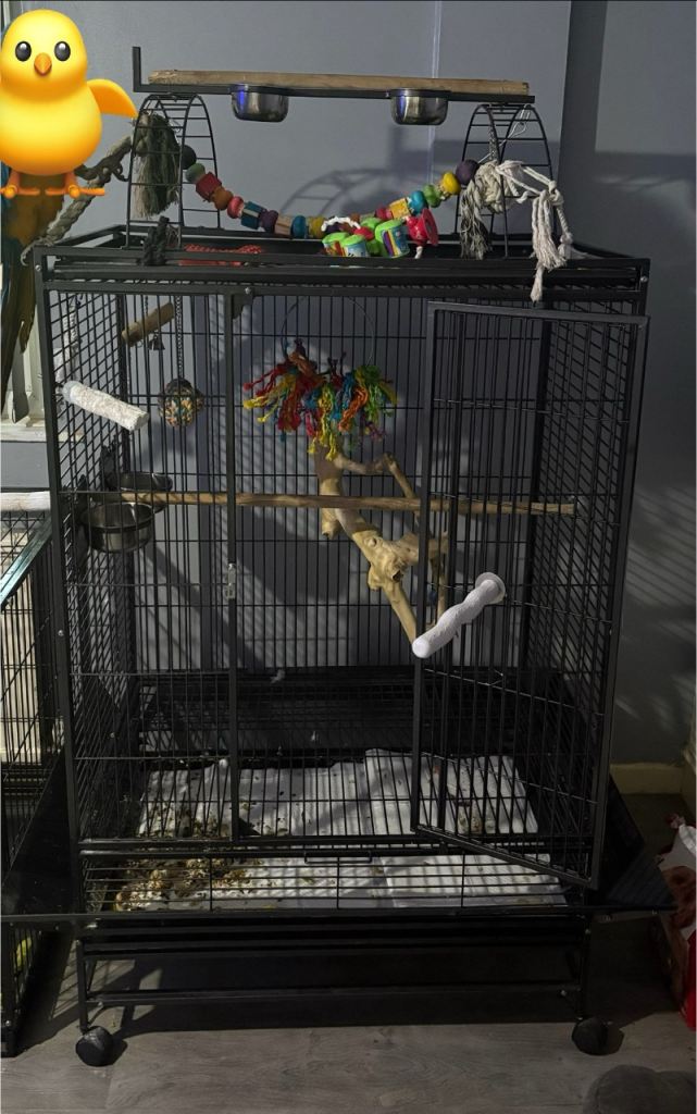 Belize Rainforest parrot cage