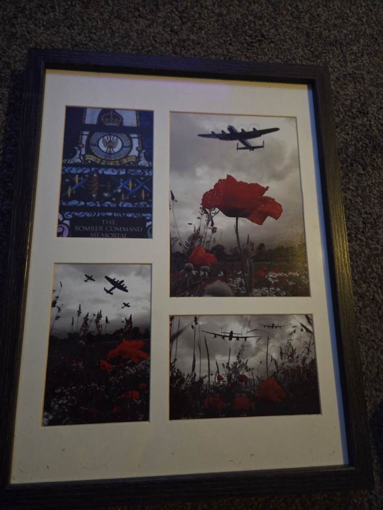 Poppy and Plane Framed Print – Good Condition
