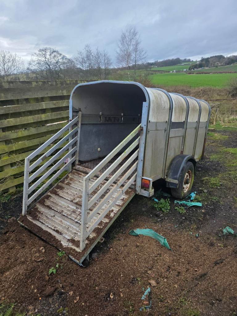 Ifor williams trailer 8ft x 4ft with ramp