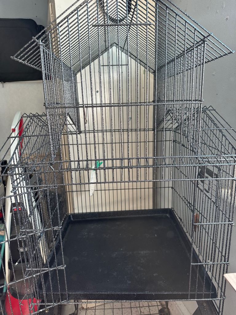 Bird cage 