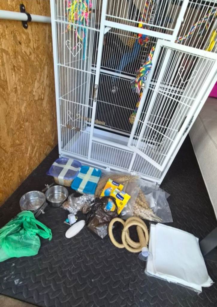 Bird cage