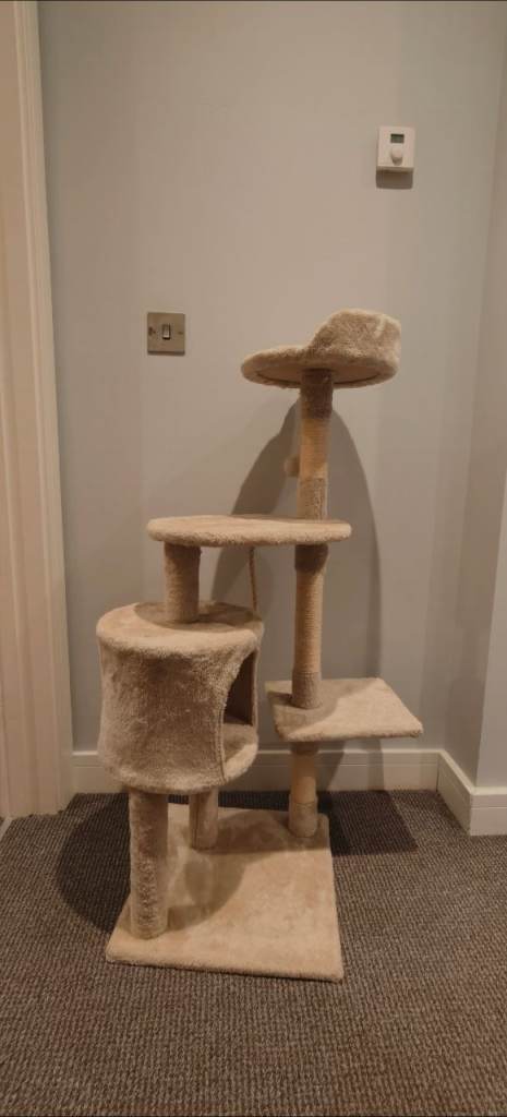 Used Cat Tree 