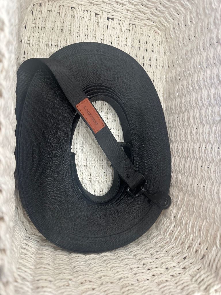Dog training lead 