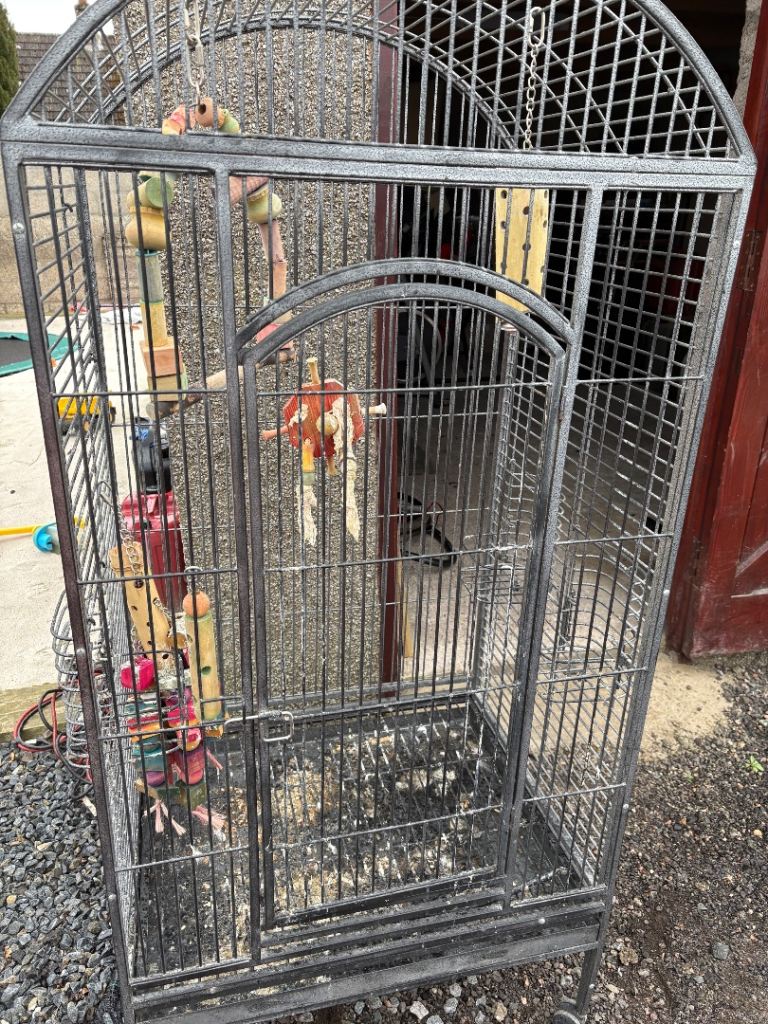 Large bird cage 