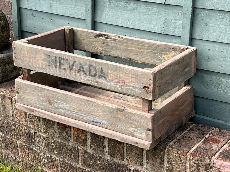 Vintage market produce crate , for garden or conservatory