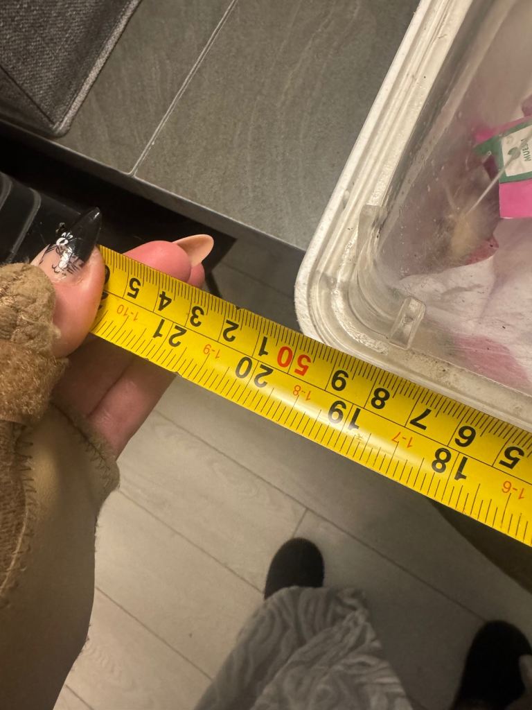 Extra large hamster/ rodent cage with accessories and food wheel tunnel 