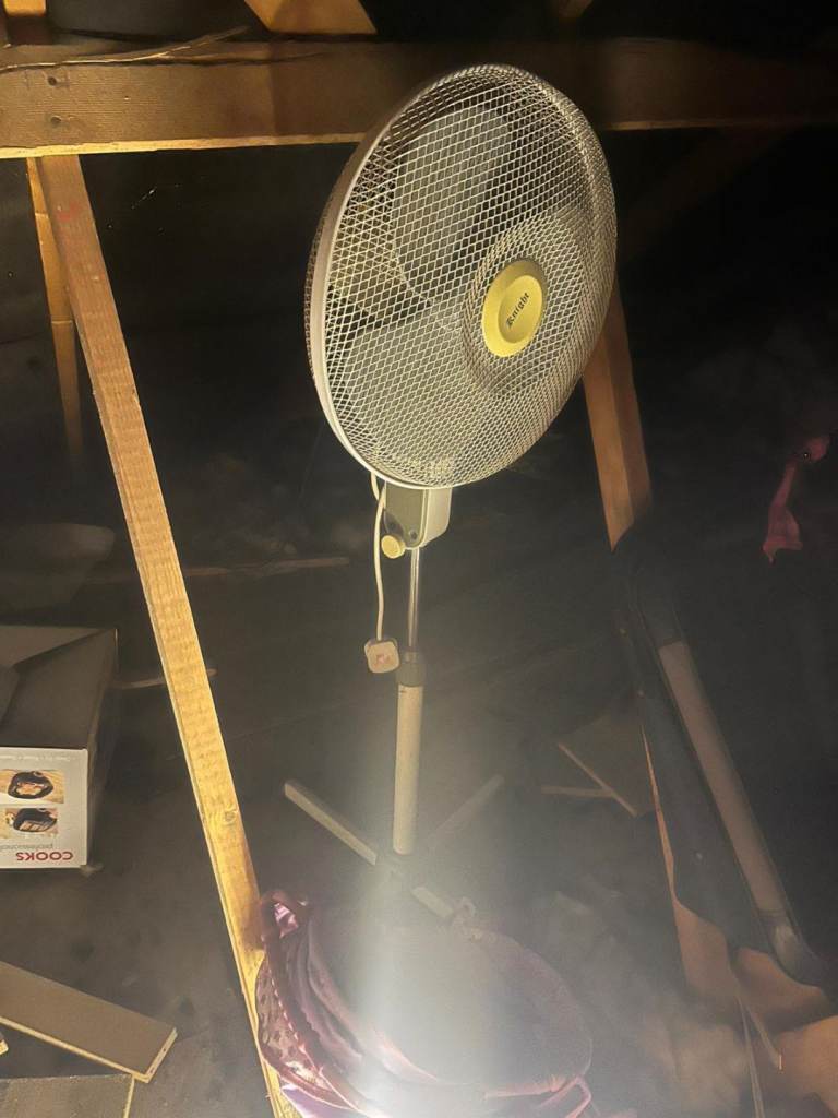 image for Tower and round fans