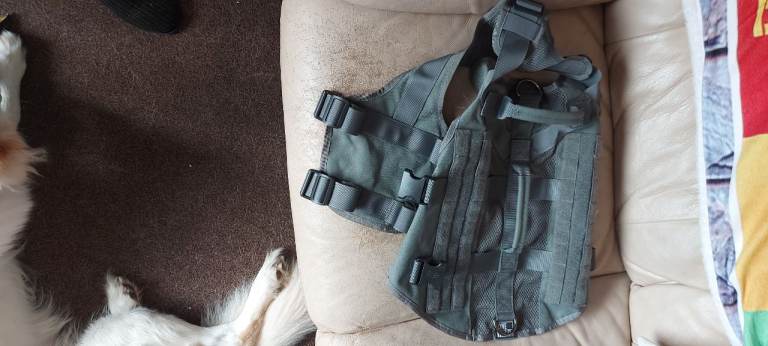 Various dog harnesses 