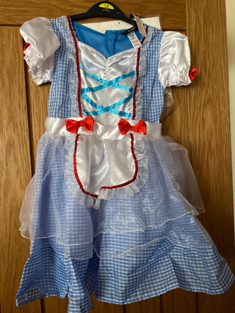 Dorothy Wizard of Oz costume 7-8