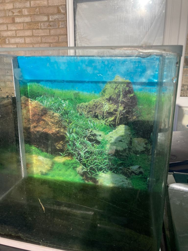 Fish Tank / Aquarium 36 cm x 36 cm x 18 cm ishish No lid