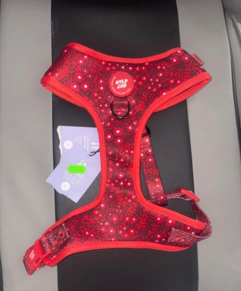 Dog Harness - Large - Red