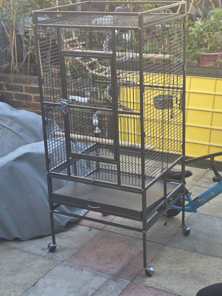 Large parrot/birdcage