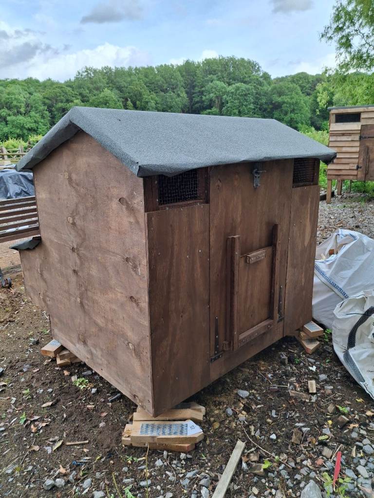New chicken house/shed