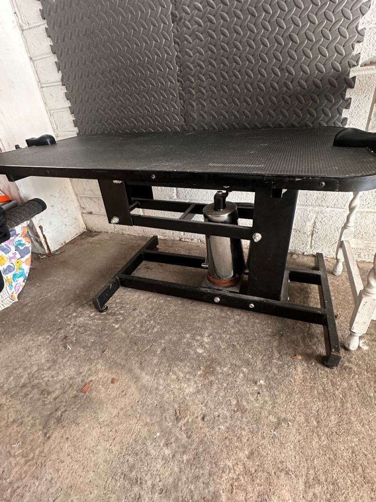 Hydraulic Pet Grooming Table 