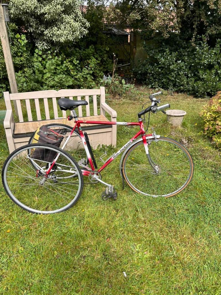 Adult tricycle 