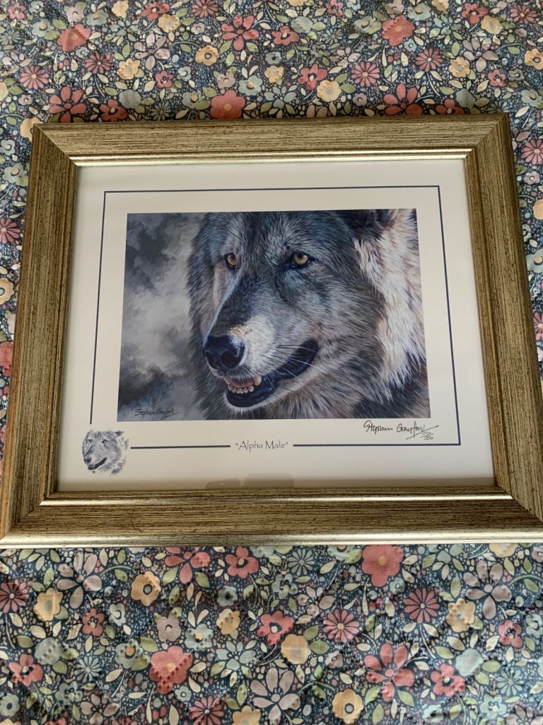 Stephen gayford print