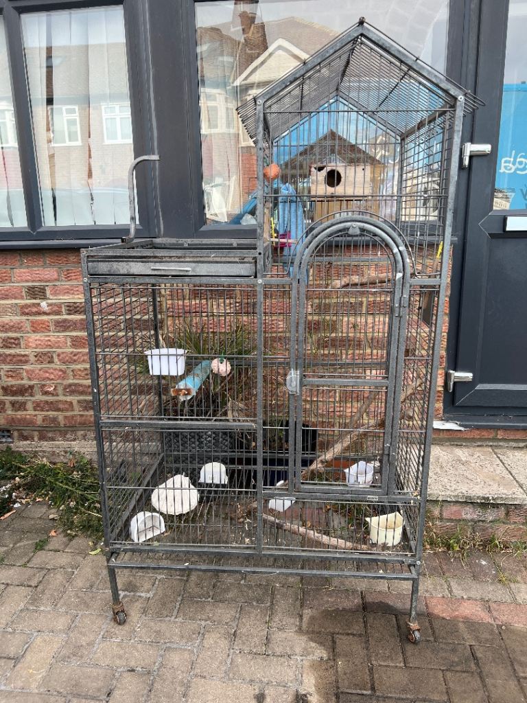 Big cage for parrots 