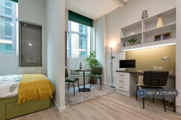 Studio flat in London, London, E2 (#2753906)