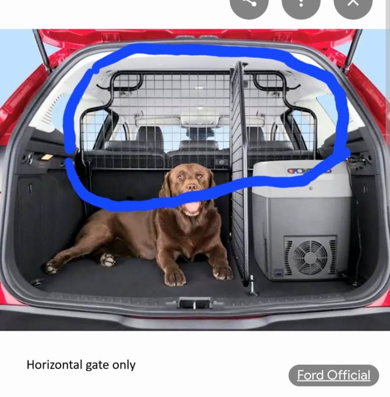 Dog guard for Ford car